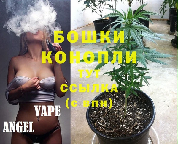 прущие грибы Протвино