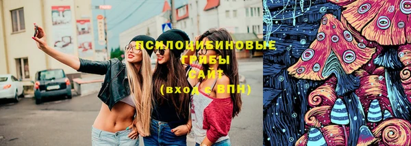 прущие грибы Протвино