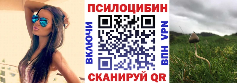 даркнет официальный сайт  Серафимович  Псилоцибиновые грибы MAGIC MUSHROOMS 
